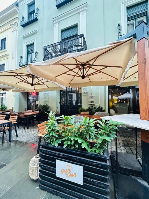Hidden Gem In The Old Town Διαμέρισμα Τιμισοάρα Εξωτερικό φωτογραφία