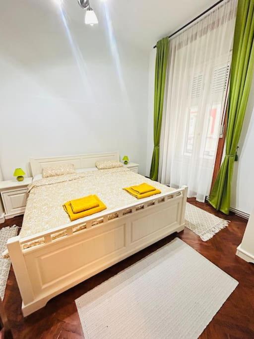 Hidden Gem In The Old Town Διαμέρισμα Τιμισοάρα Εξωτερικό φωτογραφία